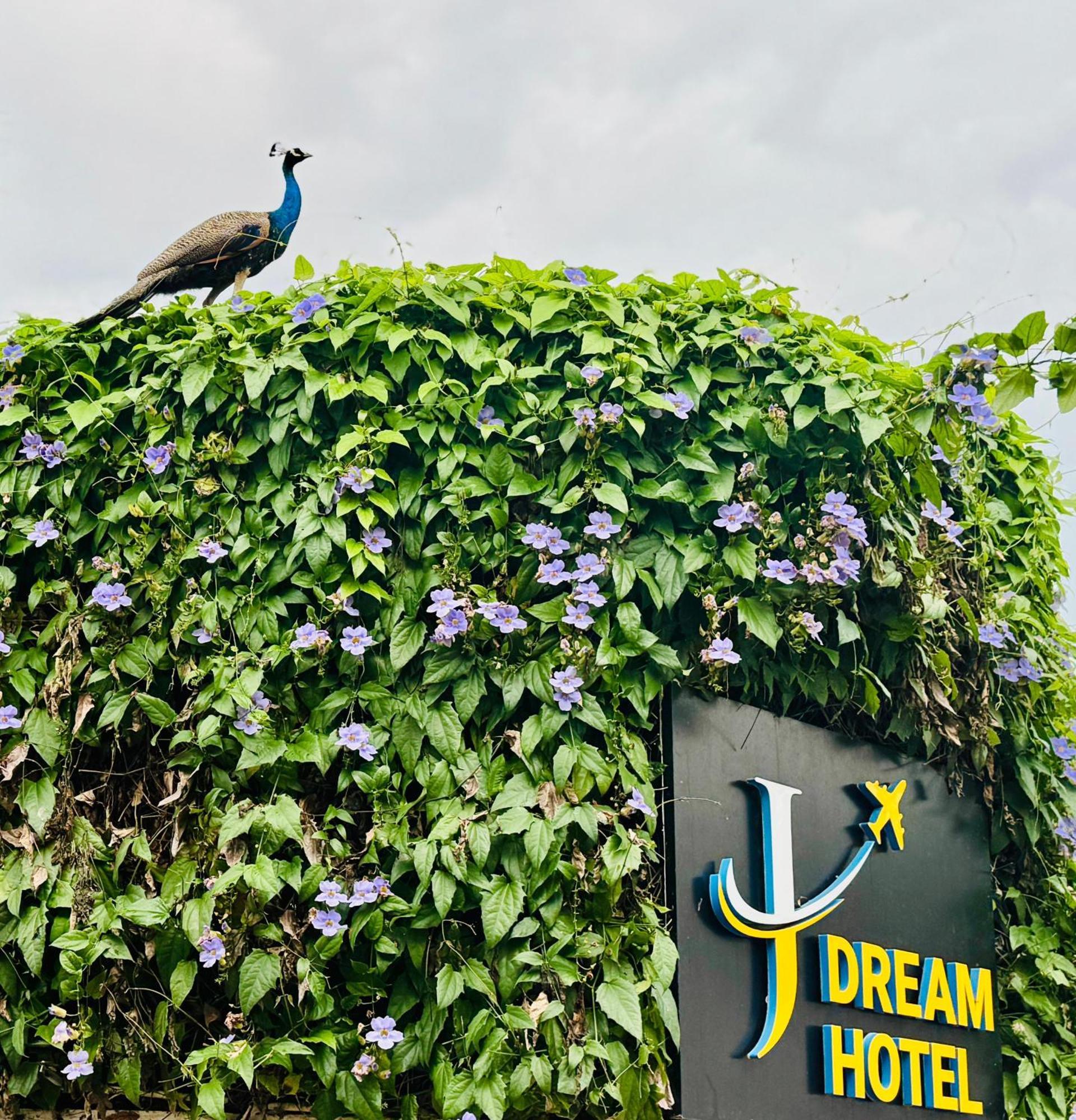 Dewamottawa Airport J Dream Resort المظهر الخارجي الصورة